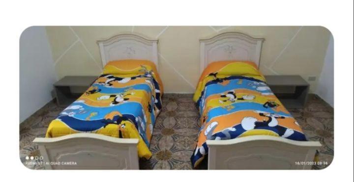 La Zagara Apartment Реалмонте Екстериор снимка